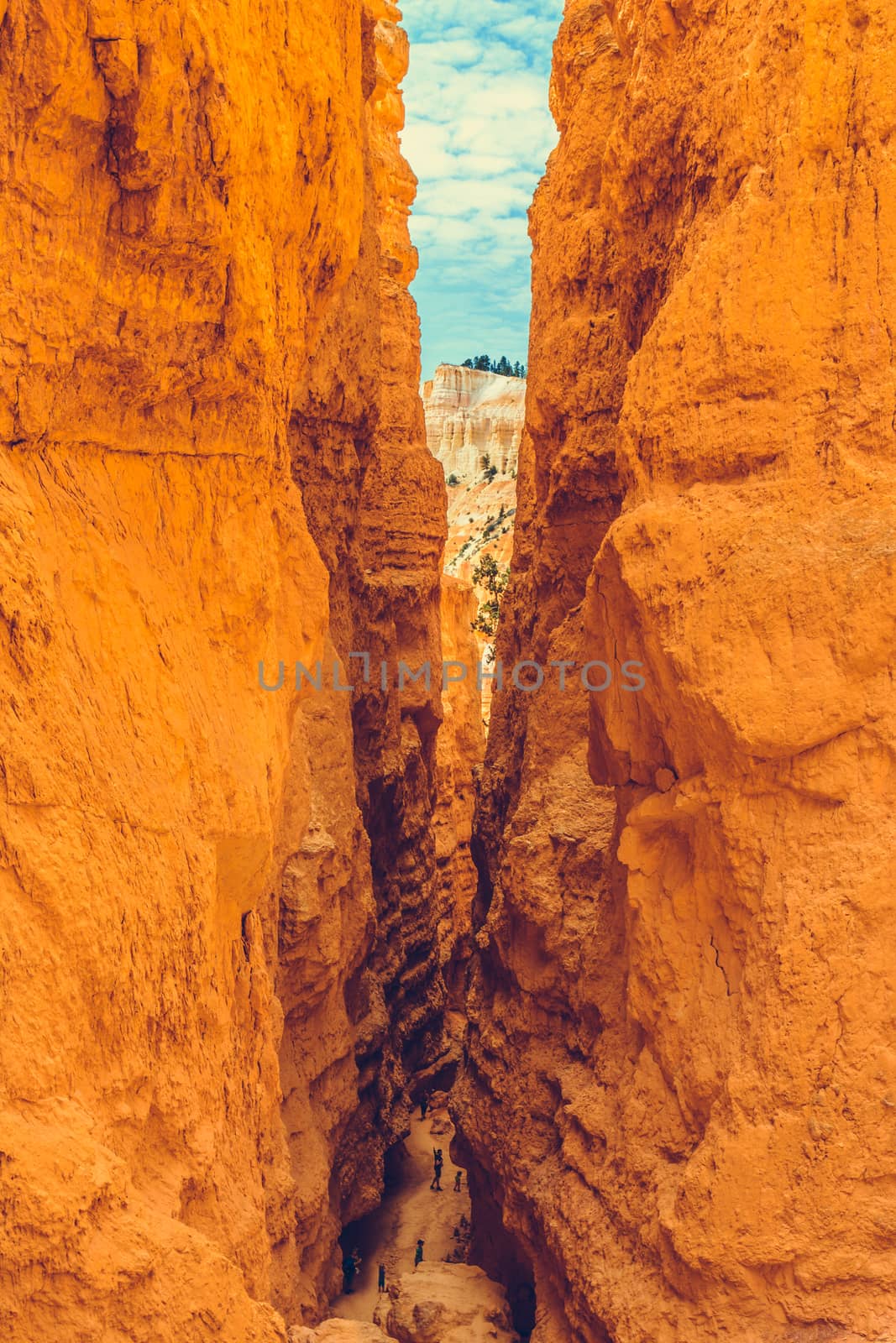 Bryce Canyon National Park, Utah, USA