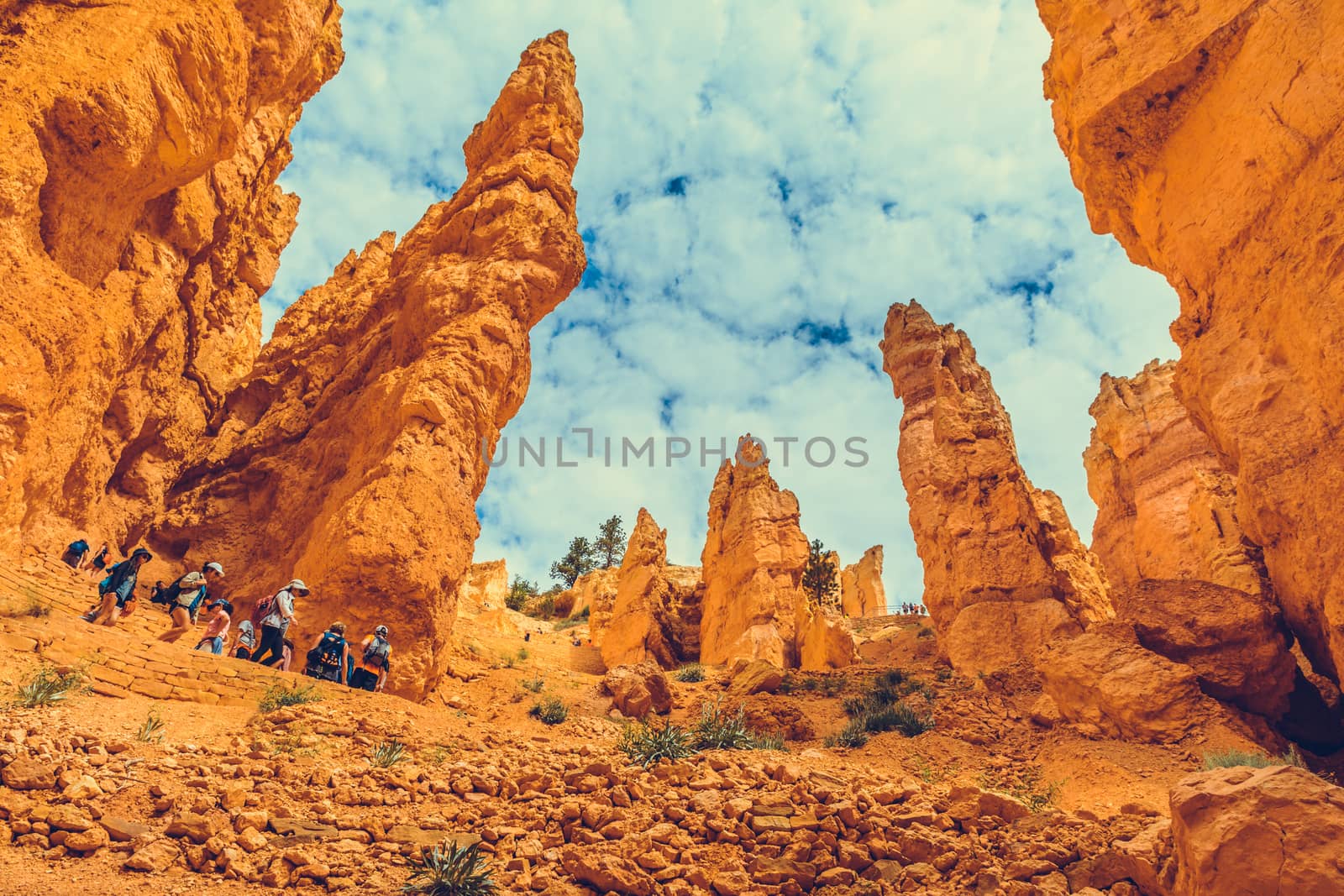 Bryce Canyon National Park, Utah, USA by nicousnake