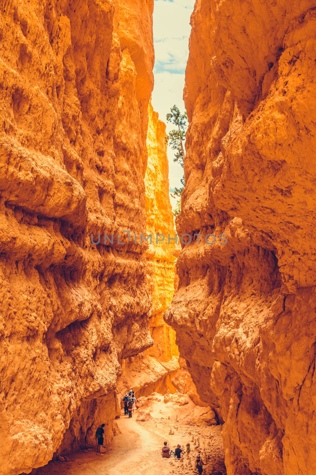 Bryce Canyon National Park, Utah, USA