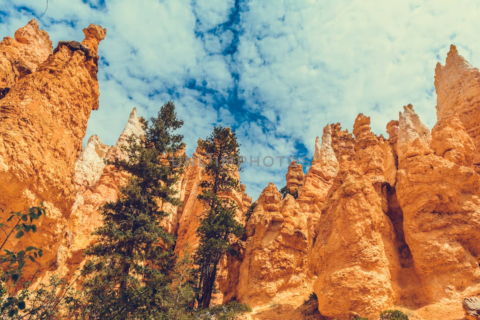 Bryce Canyon National Park, Utah, USA by nicousnake