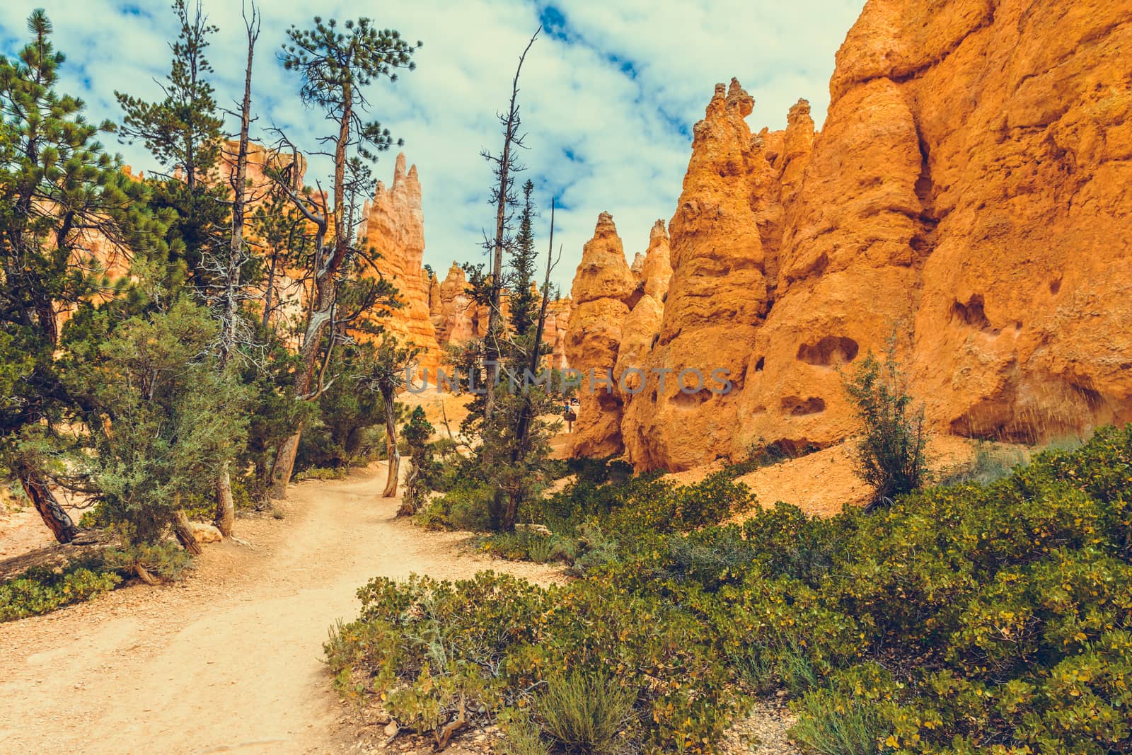 Bryce Canyon National Park, Utah, USA by nicousnake