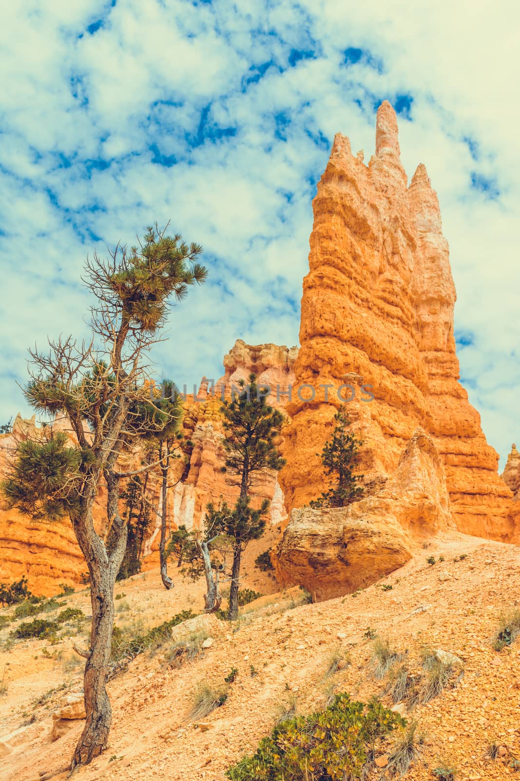 Bryce Canyon National Park, Utah, USA by nicousnake