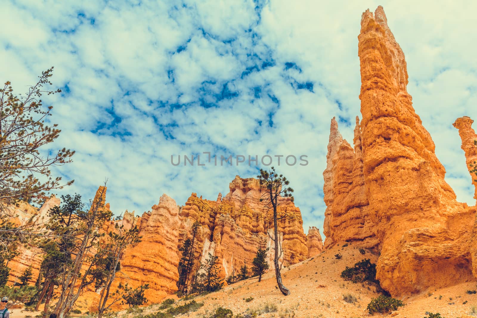 Bryce Canyon National Park, Utah, USA by nicousnake