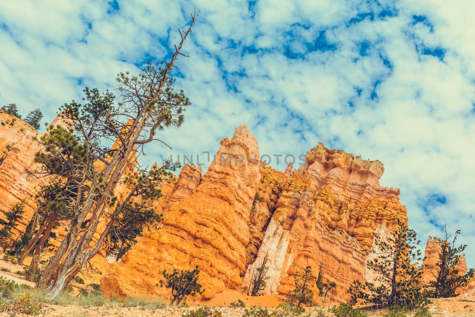 Bryce Canyon National Park, Utah, USA