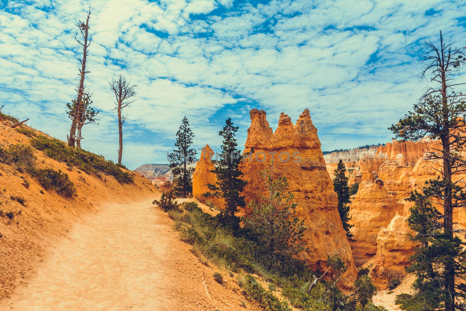 Bryce Canyon National Park, Utah, USA by nicousnake