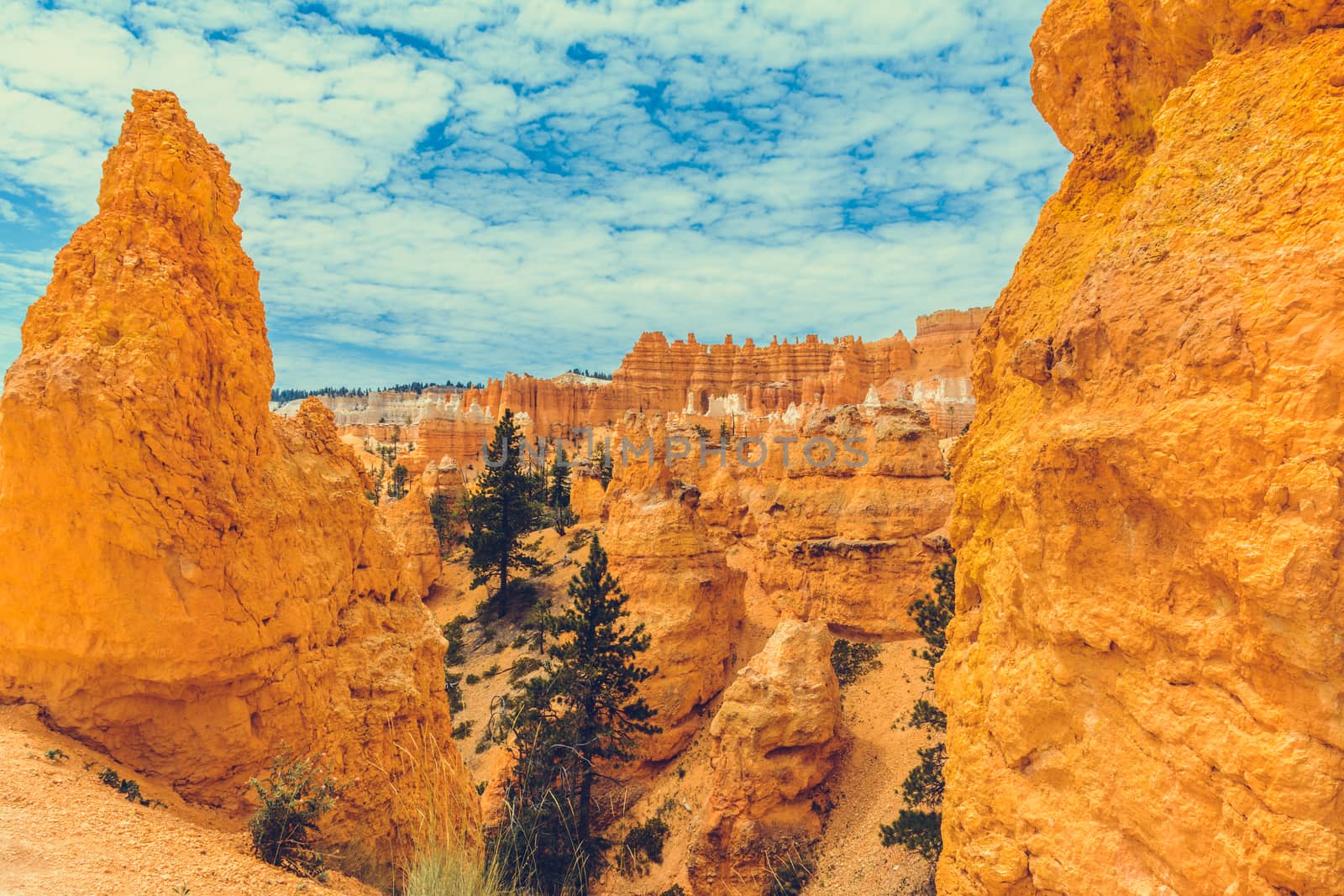 Bryce Canyon National Park, Utah, USA by nicousnake