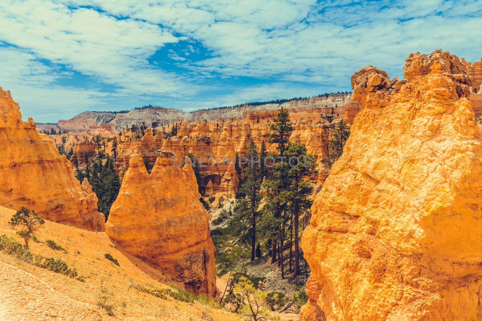 Bryce Canyon National Park, Utah, USA