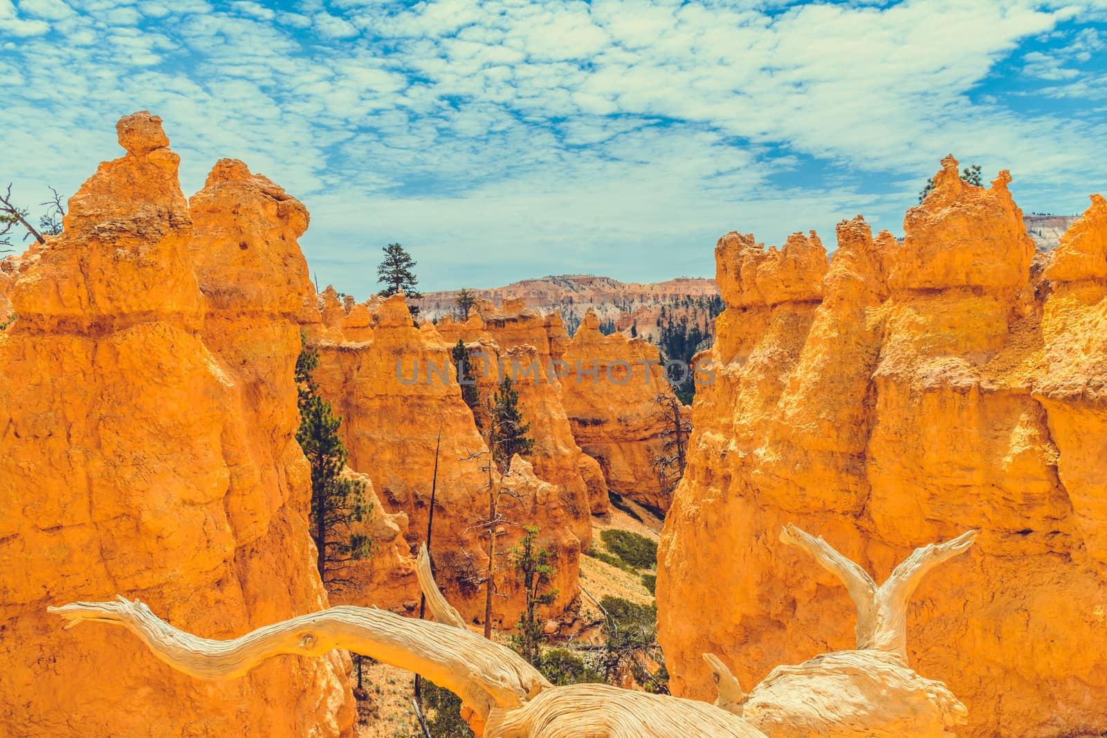 Bryce Canyon National Park, Utah, USA by nicousnake