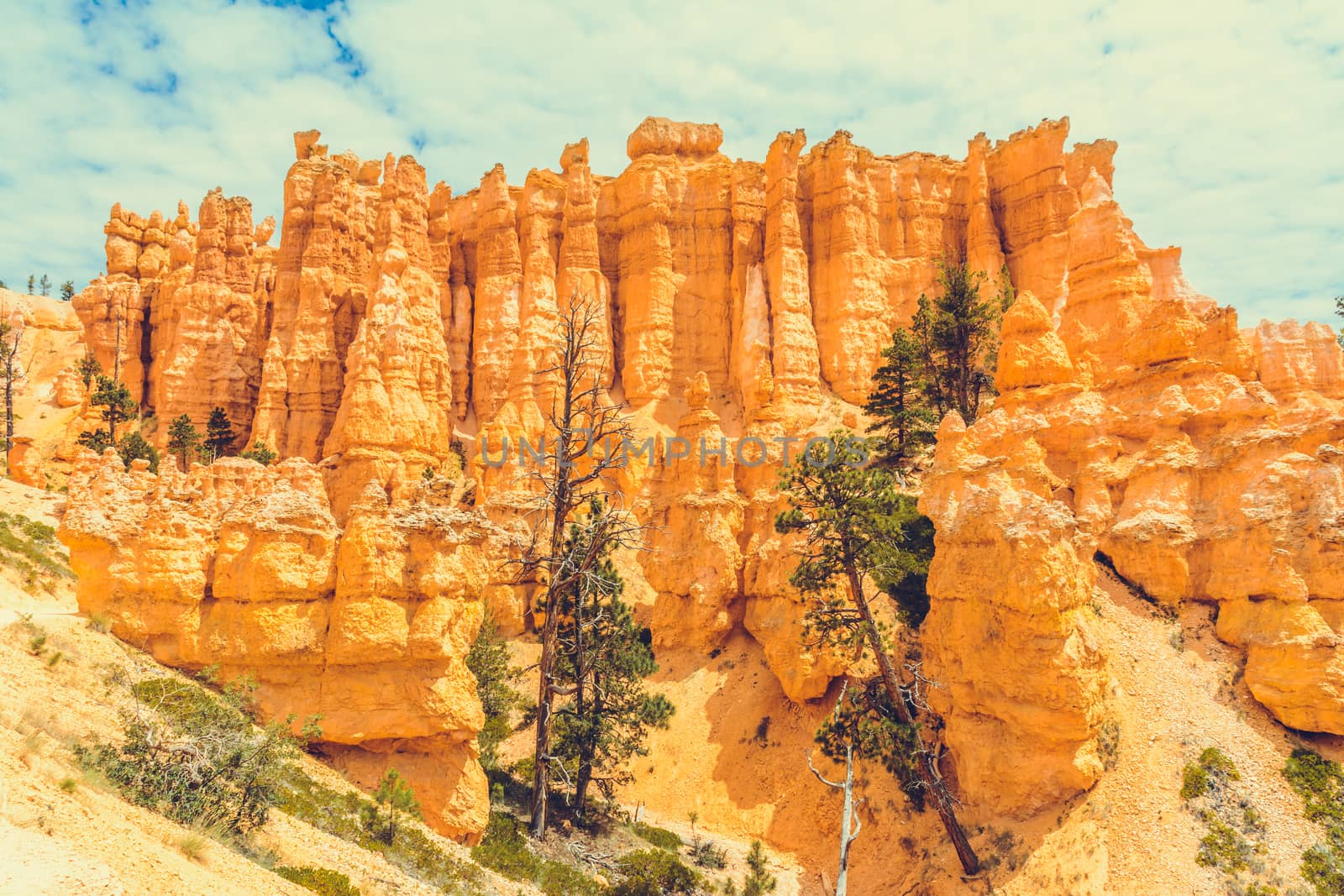 Bryce Canyon National Park, Utah, USA by nicousnake