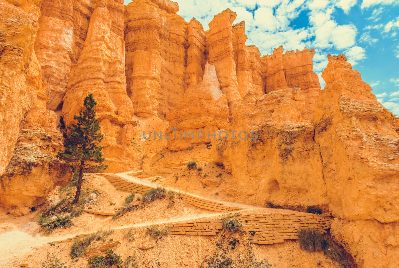 Bryce Canyon National Park, Utah, USA