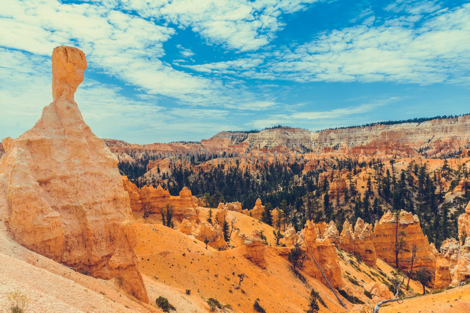 Bryce Canyon National Park, Utah, USA by nicousnake