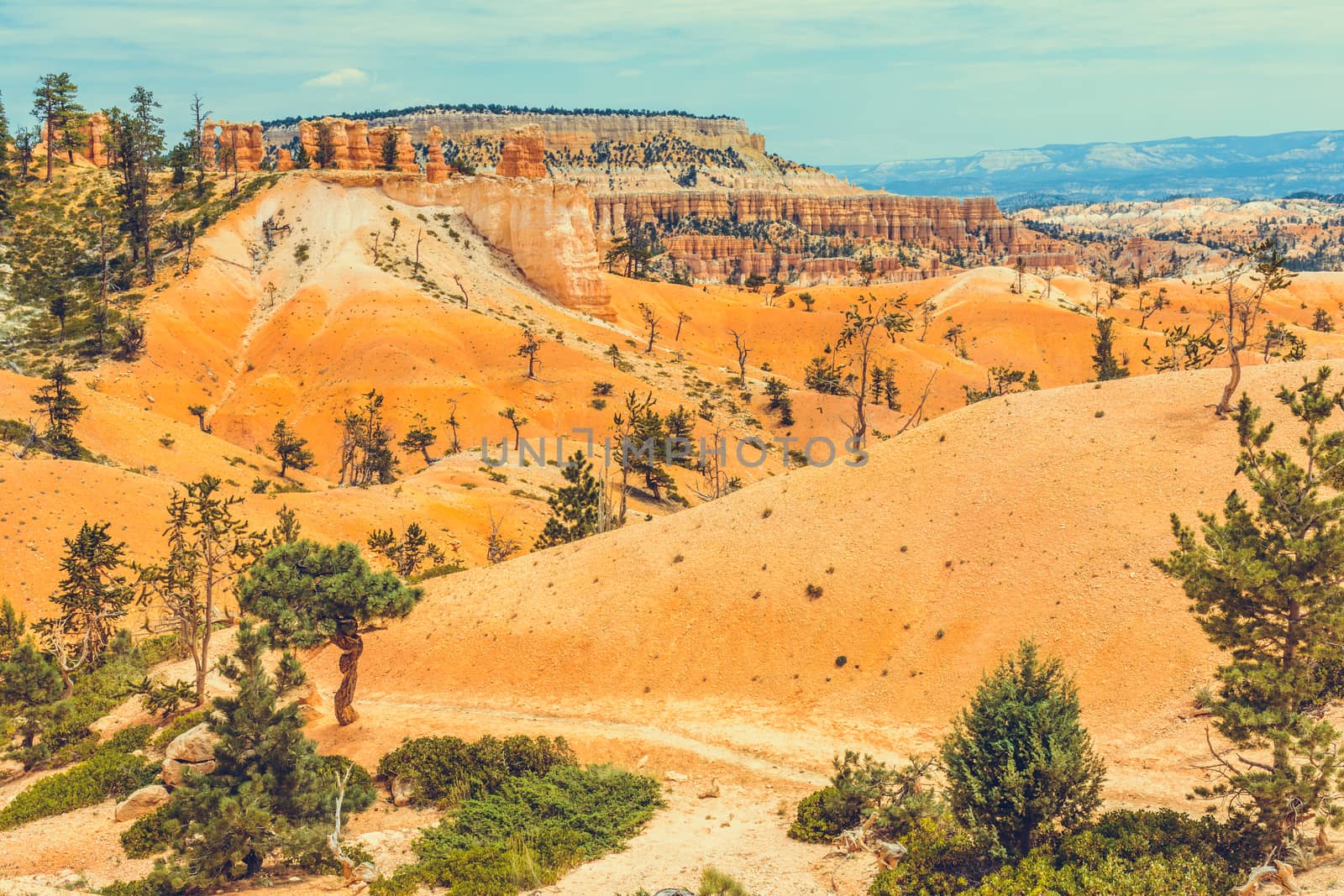 Bryce Canyon National Park, Utah, USA by nicousnake