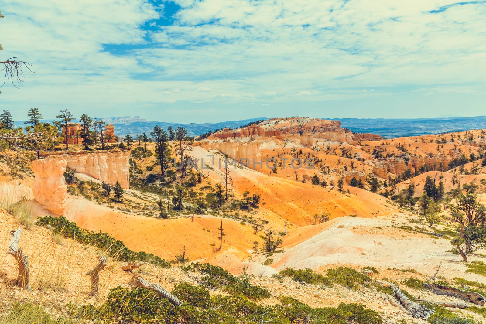 Bryce Canyon National Park, Utah, USA by nicousnake