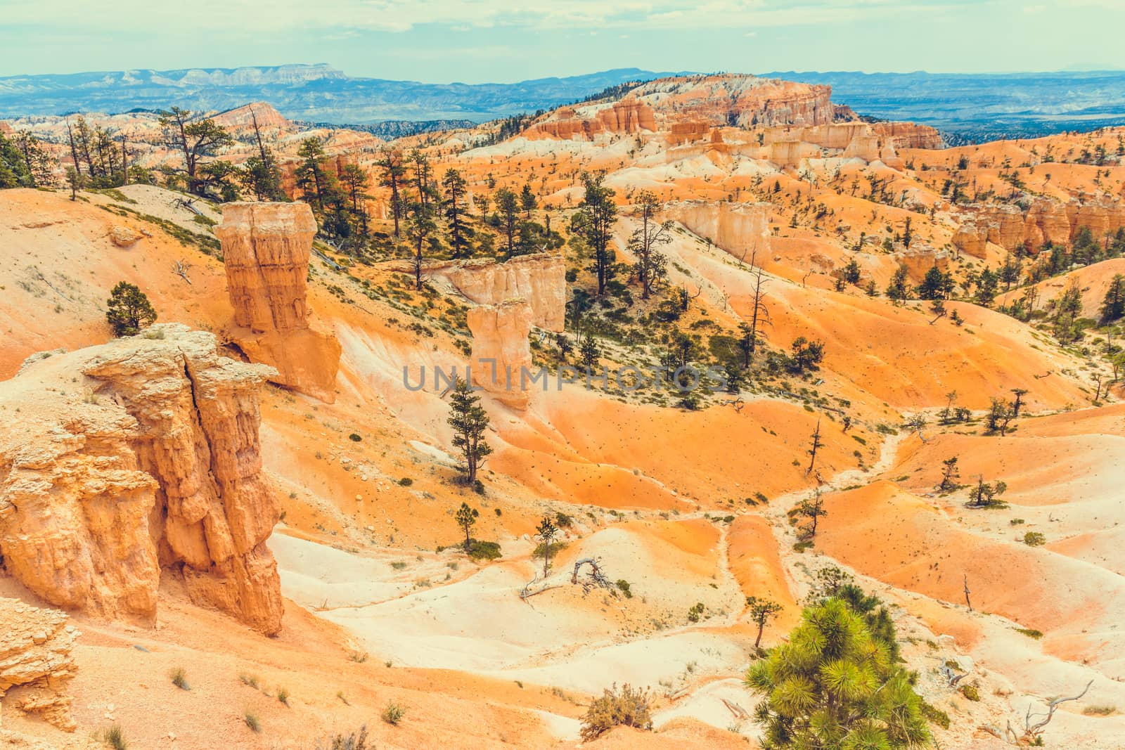 Bryce Canyon National Park, Utah, USA