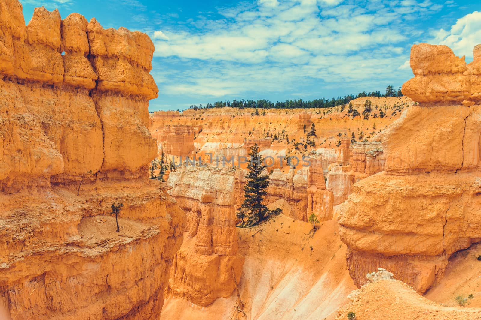 Bryce Canyon National Park, Utah, USA by nicousnake