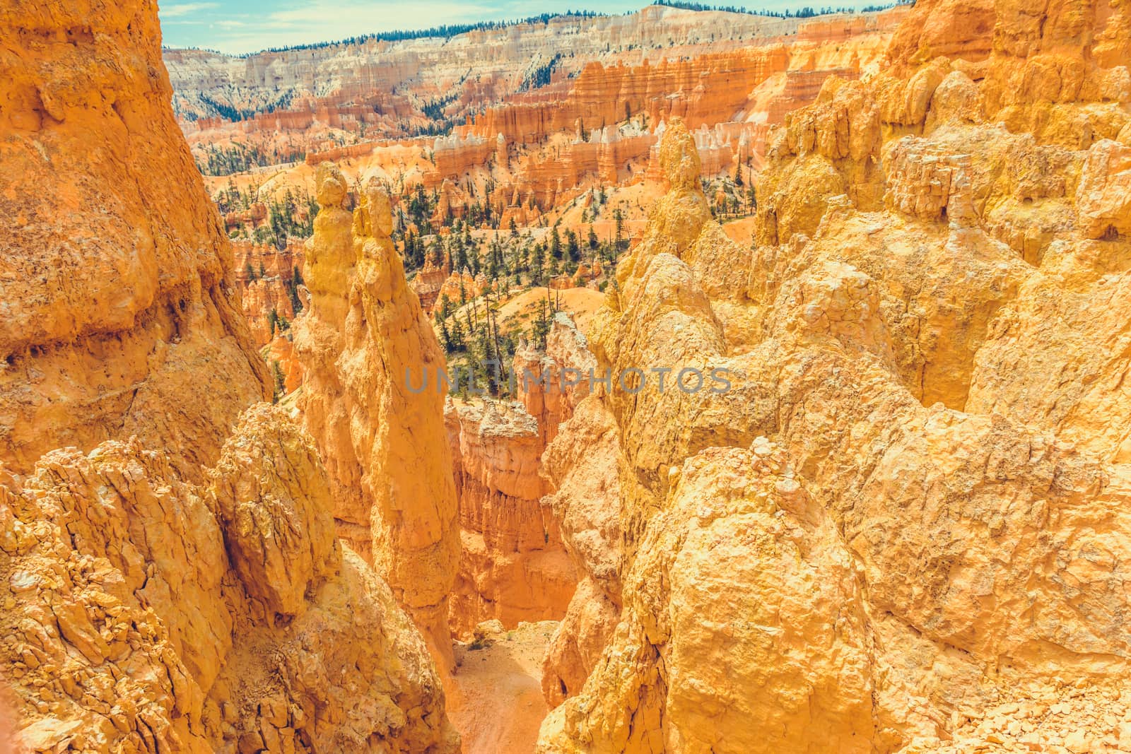 Bryce Canyon National Park, Utah, USA