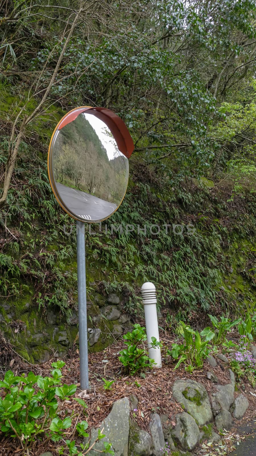 The landscape of Traffic curved glass in natural forest park.