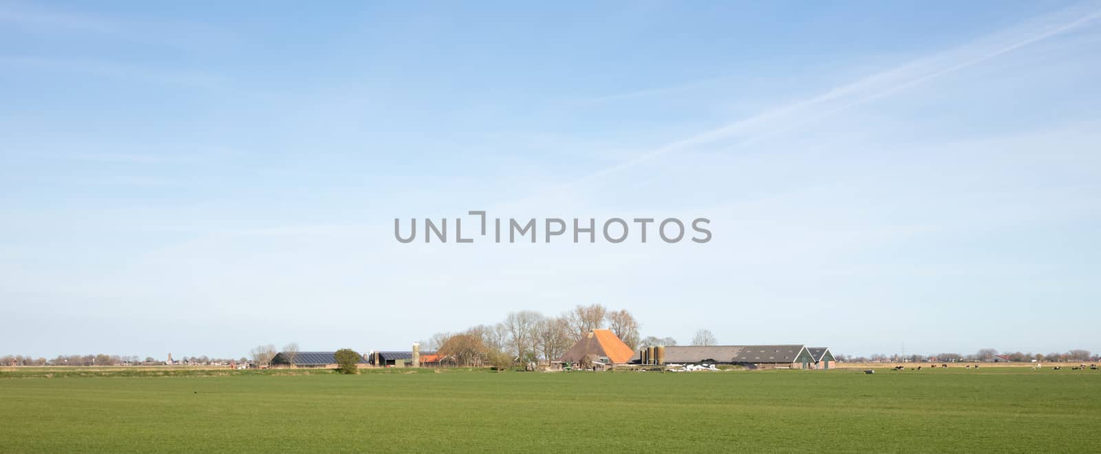 Farm in the north of the Netherlands (Friesland)