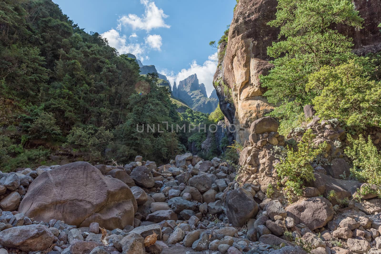 View from the Tugela Gorge towards the Devils Tooth and Toothpick in the Amphitheatre