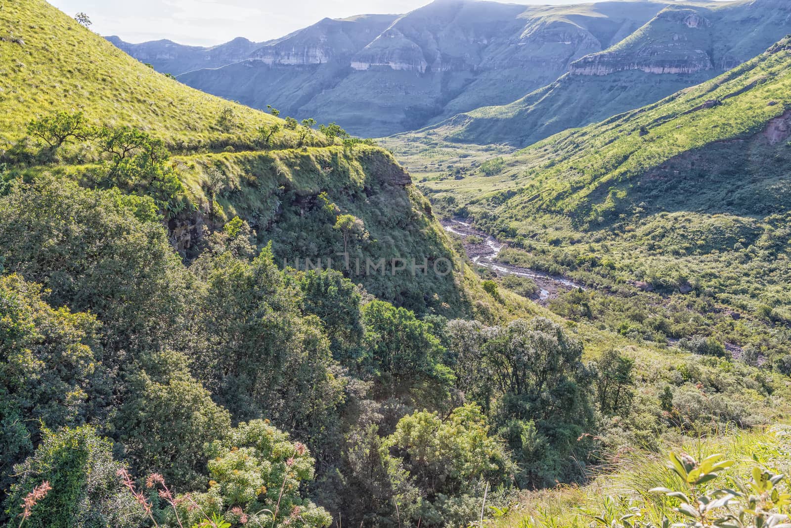 View from the Tugela Gorge hiking trail towards the North. The Tugela River and the hiking trail are visible