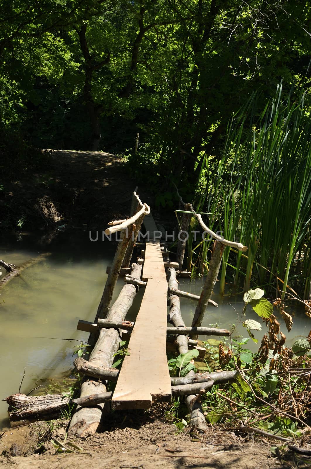 A fairy-tale bridge in a forest on a swamp, made of wood.