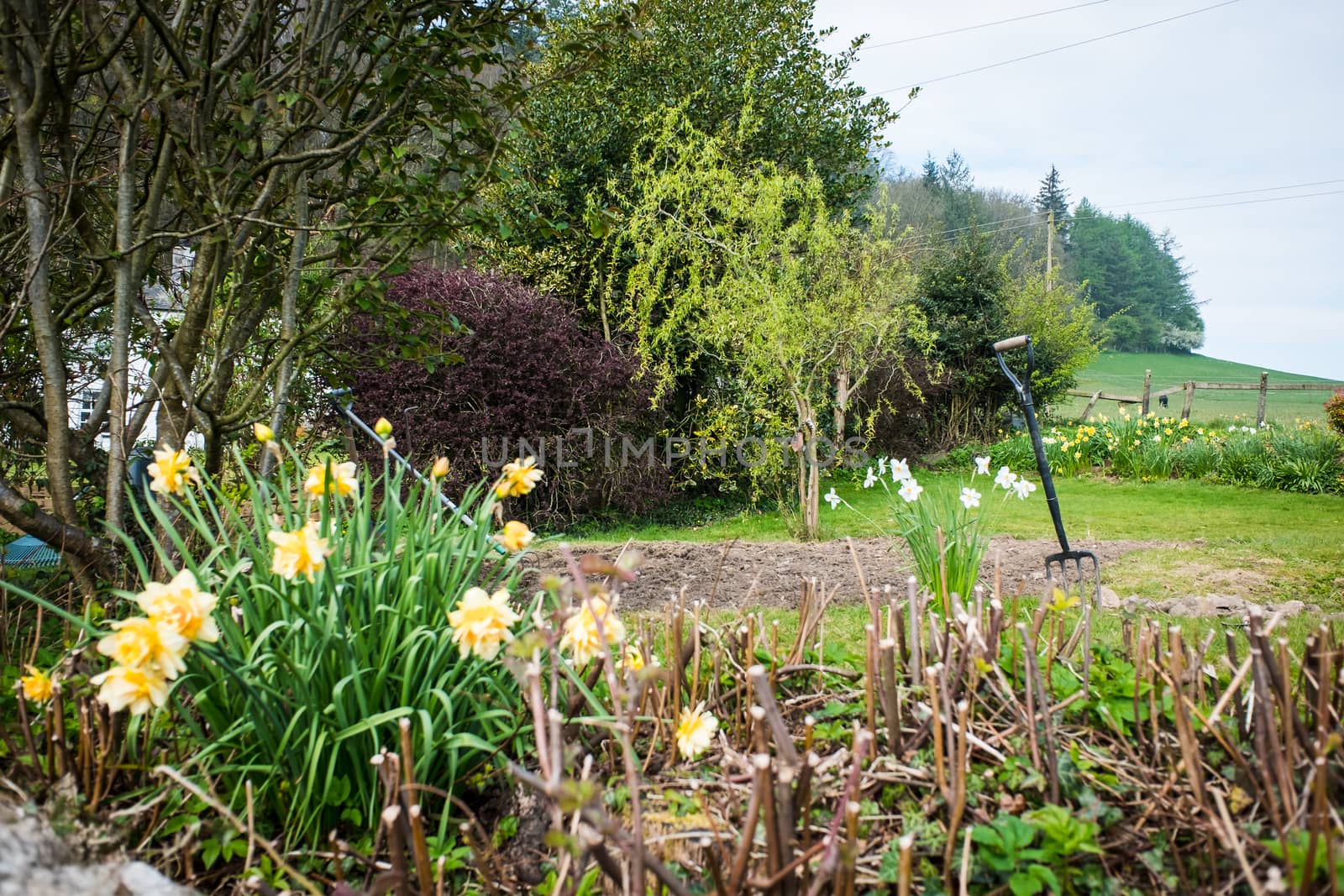 Soil preparing for planting in spring. UK