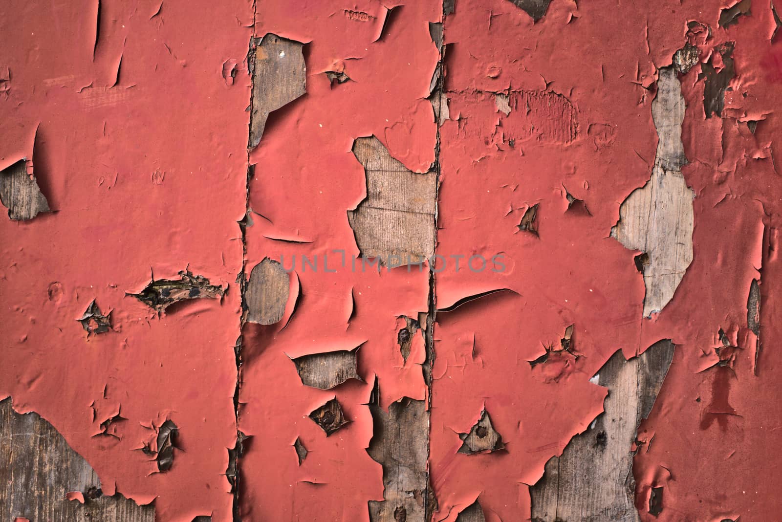 Texture of peeling red paint on grungy old wood