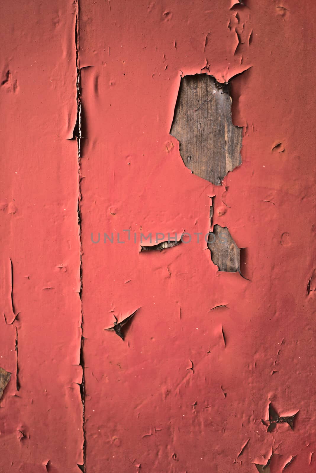 Texture of peeling paint on grungy old wood by paddythegolfer