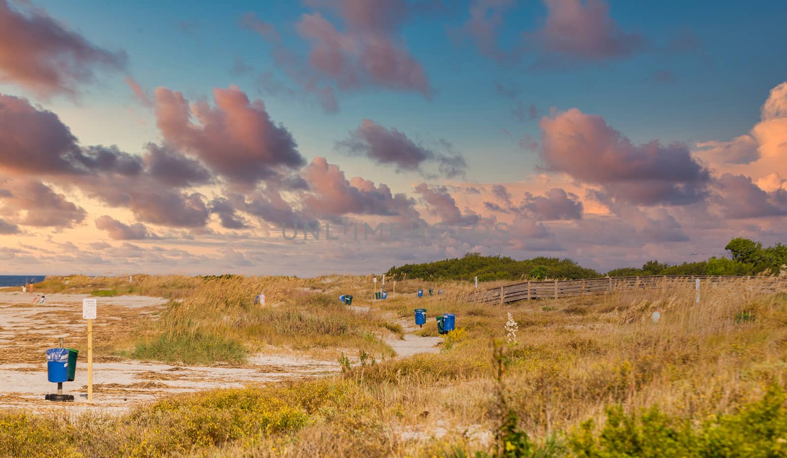 Trash and Recycling Bins on Beach by dbvirago