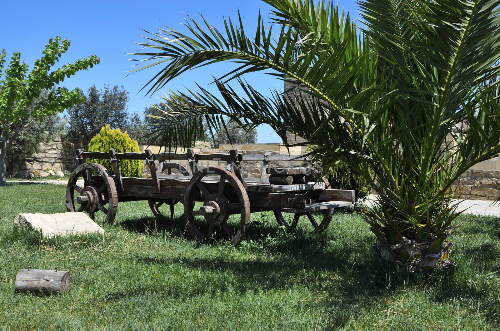 The cart for agricultural work.Used in the pre-automotive times vehicile.Ecologically clean.They are made of wood and the iron details.The remaining force was horses,donkeys,buffaloes