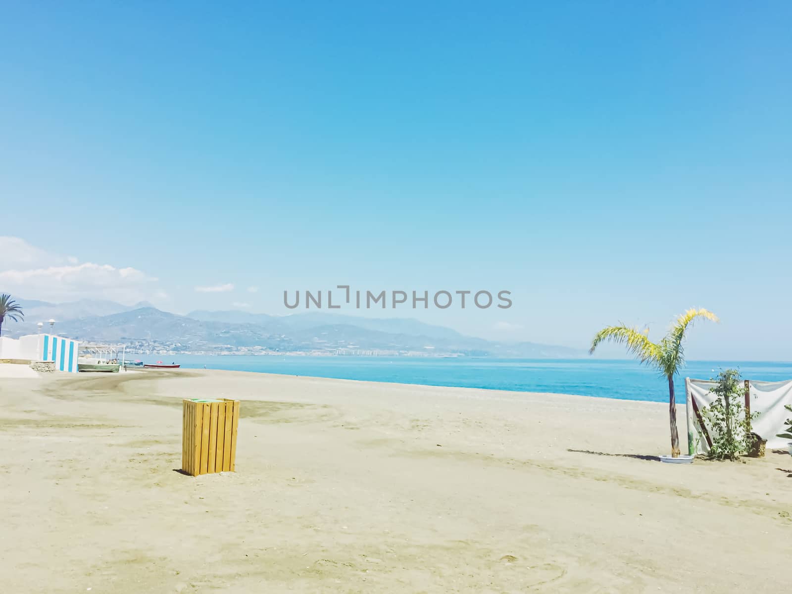 Tropical palm trees on the beach, summer nature and travel concept