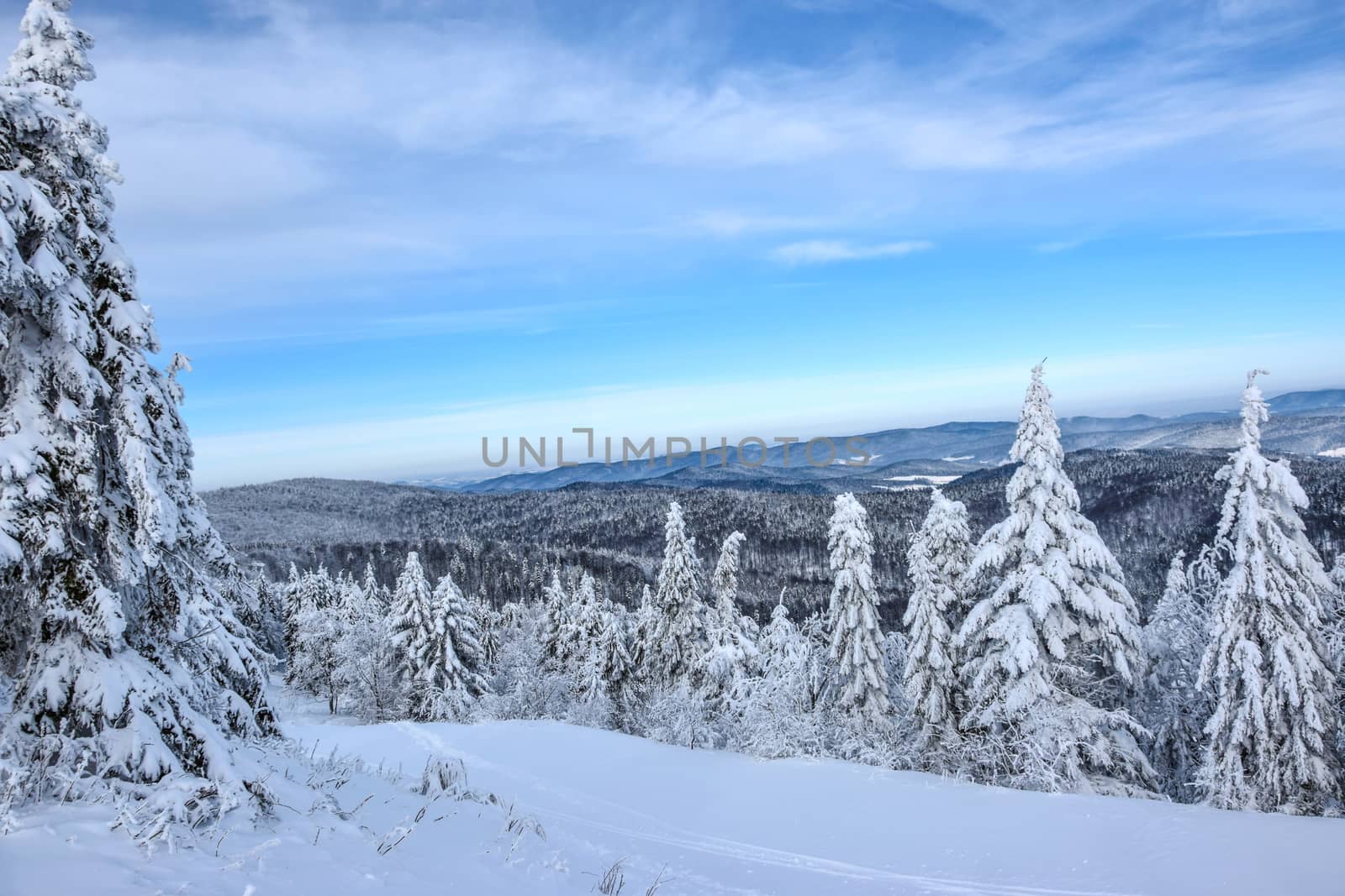 Picturesque view from a mountain top on a snowy forest and mountain peaks