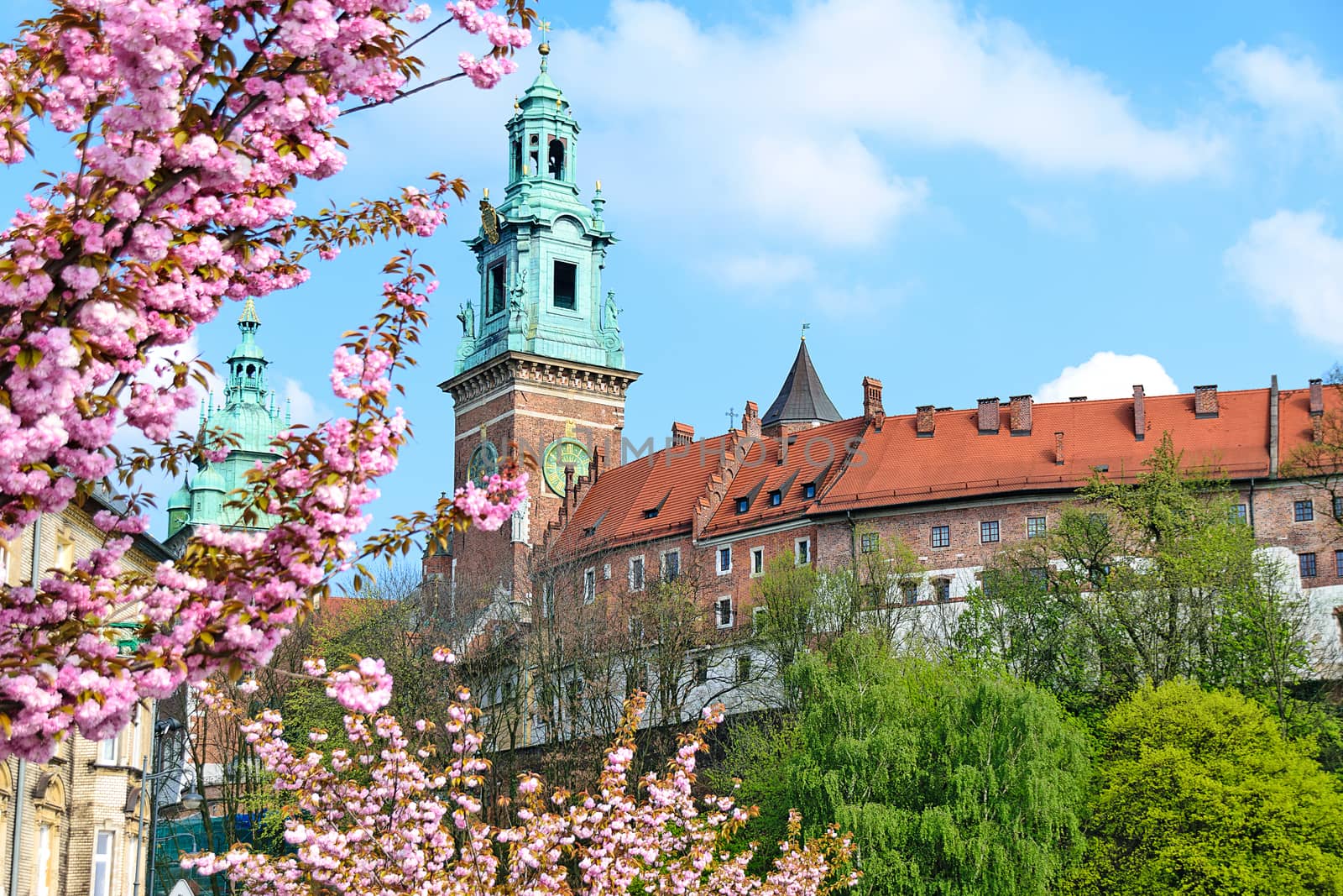 Krakow, Poland - April 30, 2017. Wawel Hill with the Royal Castle and the Cathedral in Krakow, Poland, Europe.