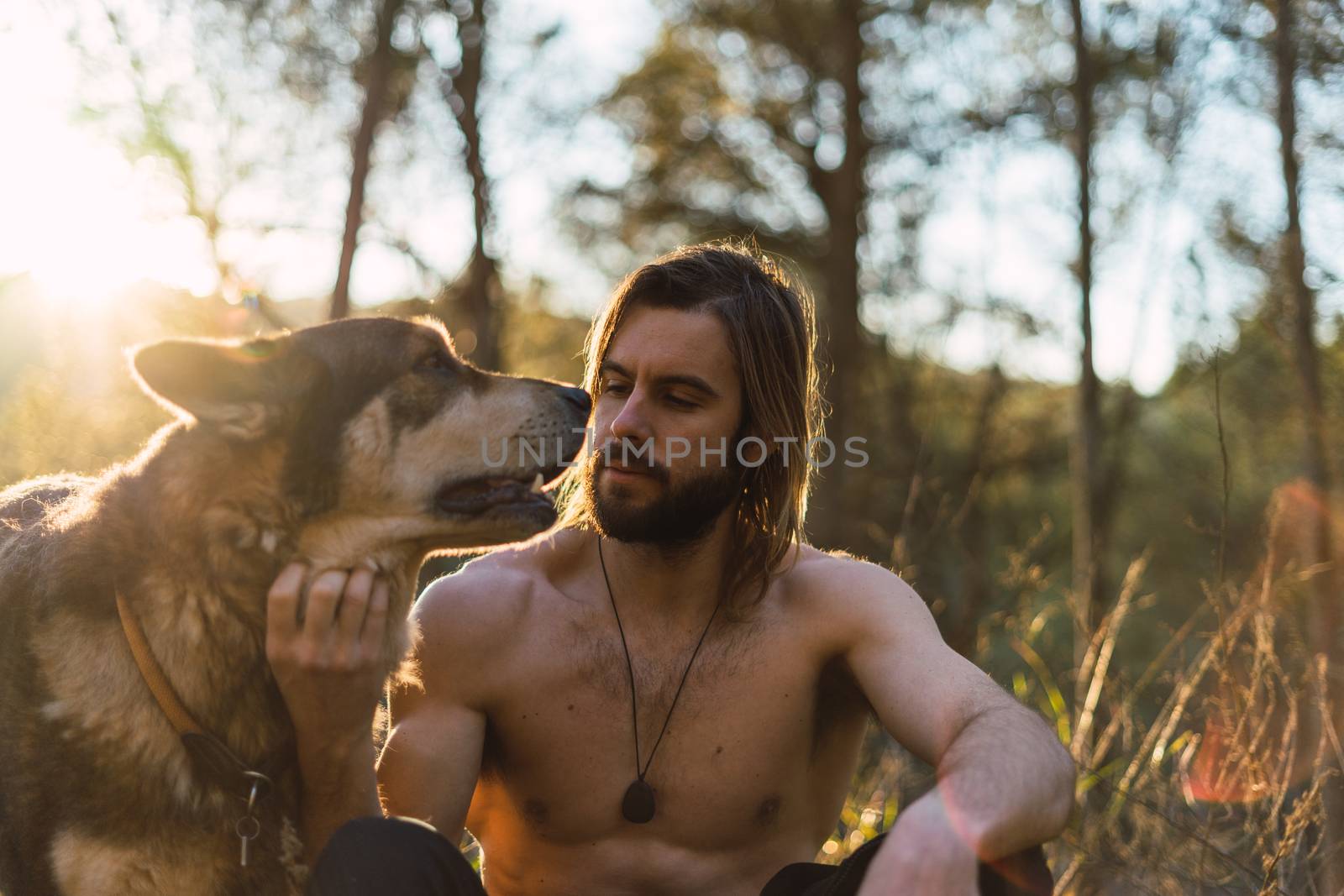 Portrait of a bearded man with his old dog and a beautiful sunset on the mountain