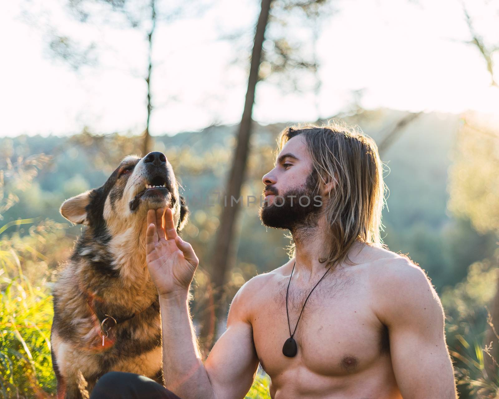 Portrait of a bearded man with his old dog and a beautiful sunset on the mountain