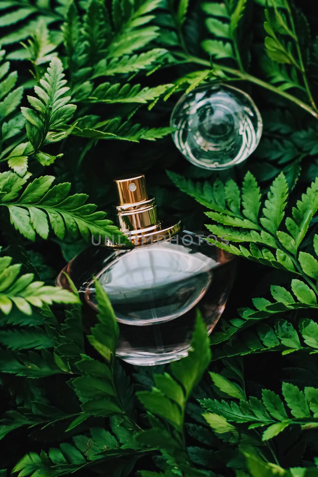 Perfume bottle with aromatic tropical scent in nature, luxury fragrance by Anneleven