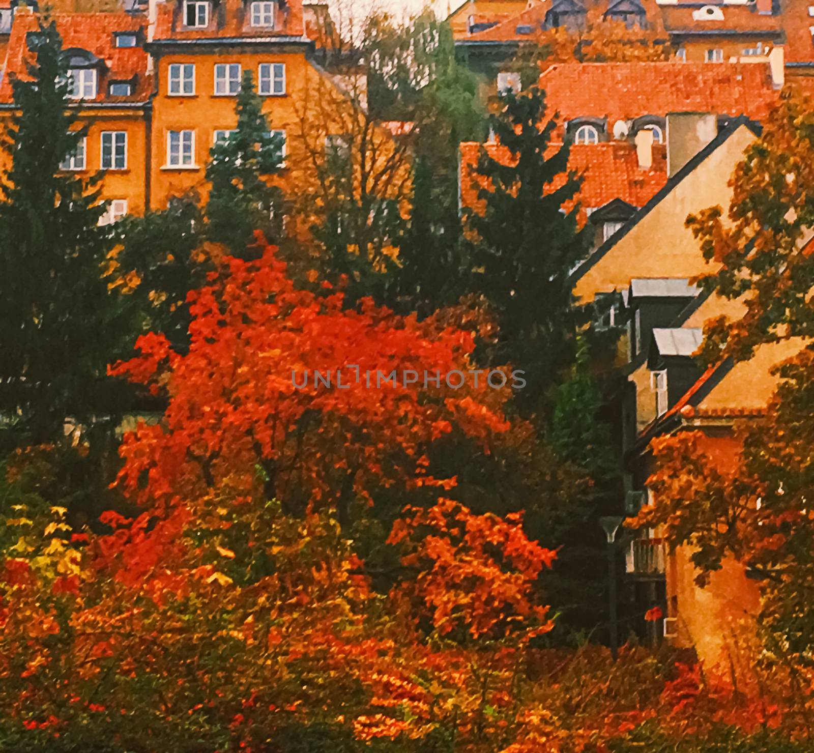 Autumn nature in park, fall leaves and trees outdoors, beautiful season