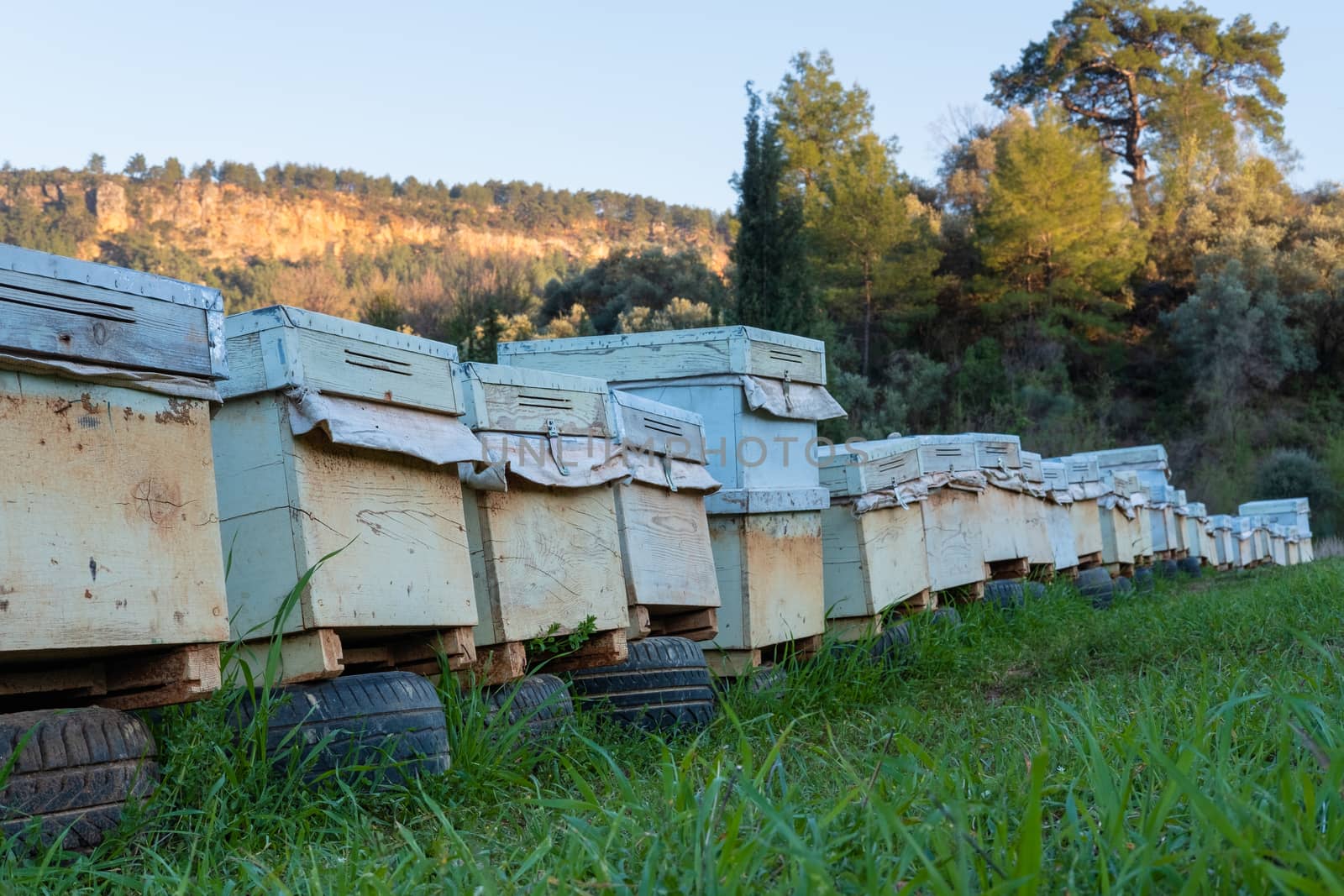 Many closed beehives in a row waiting for the seasonin the nature.