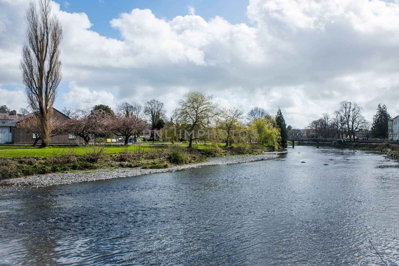 River Kent, Kendal, in Springtime Cumbria, England by paddythegolfer