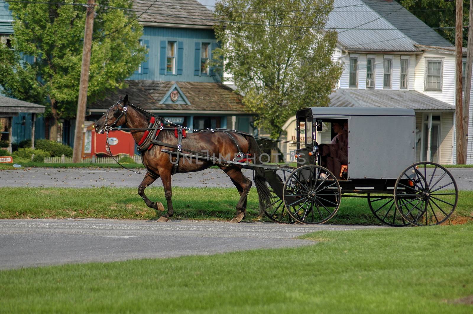 Amish Horse and Buggy Trotting to Country Store on a Summer Day