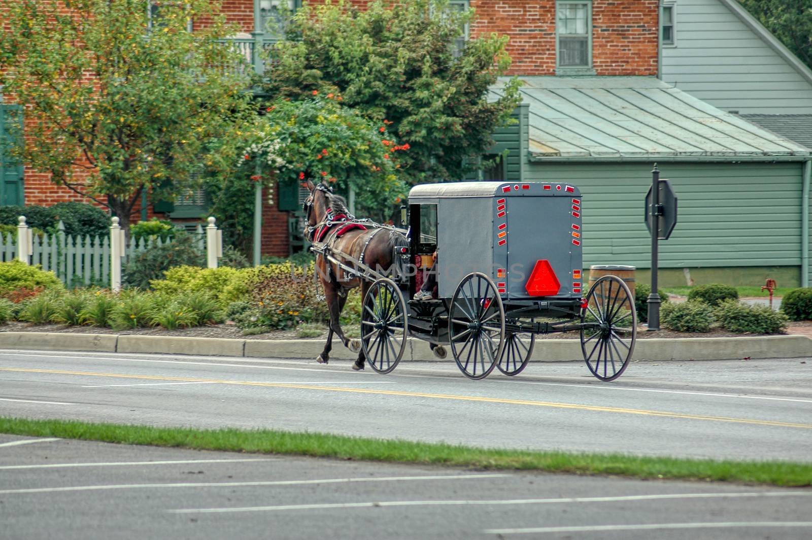 Amish Horse and Buggy Trotting to Country Store on a Summer Day by actionphoto50