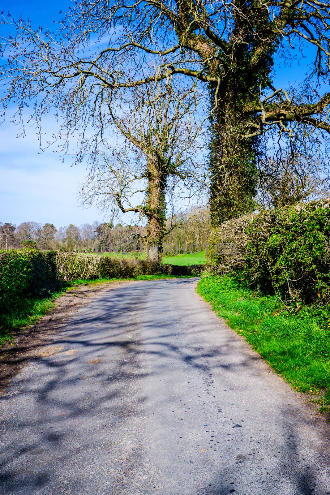 The single track road in Lancashire on a spring day by paddythegolfer