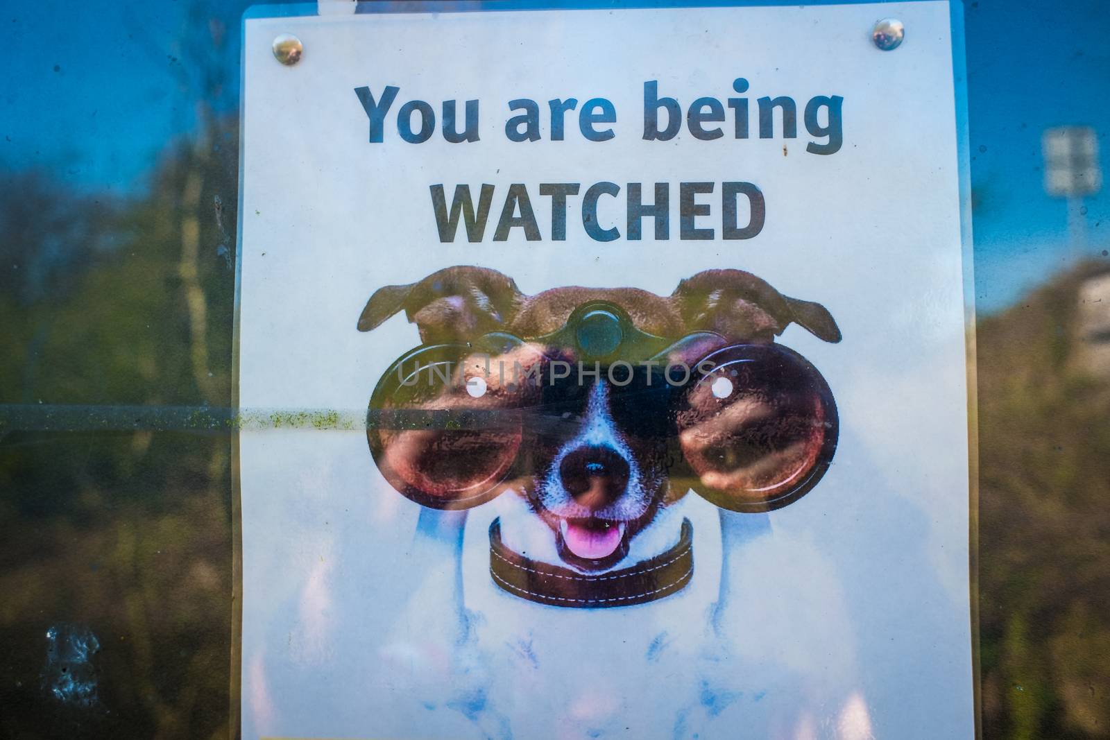 neighborhood watch sign with cartoon dog