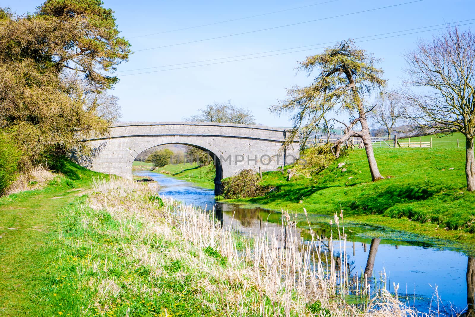 Scenic View of on the Lancster Canal Bathed in Warm Morning Sunlight Running through Cumbria England