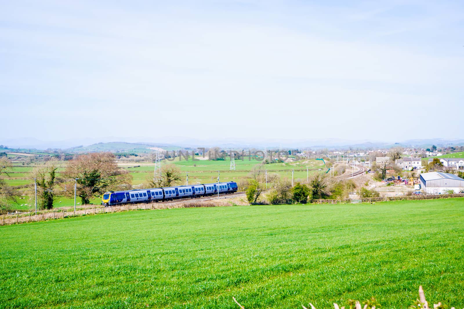 Springtime fields with hedges and trees