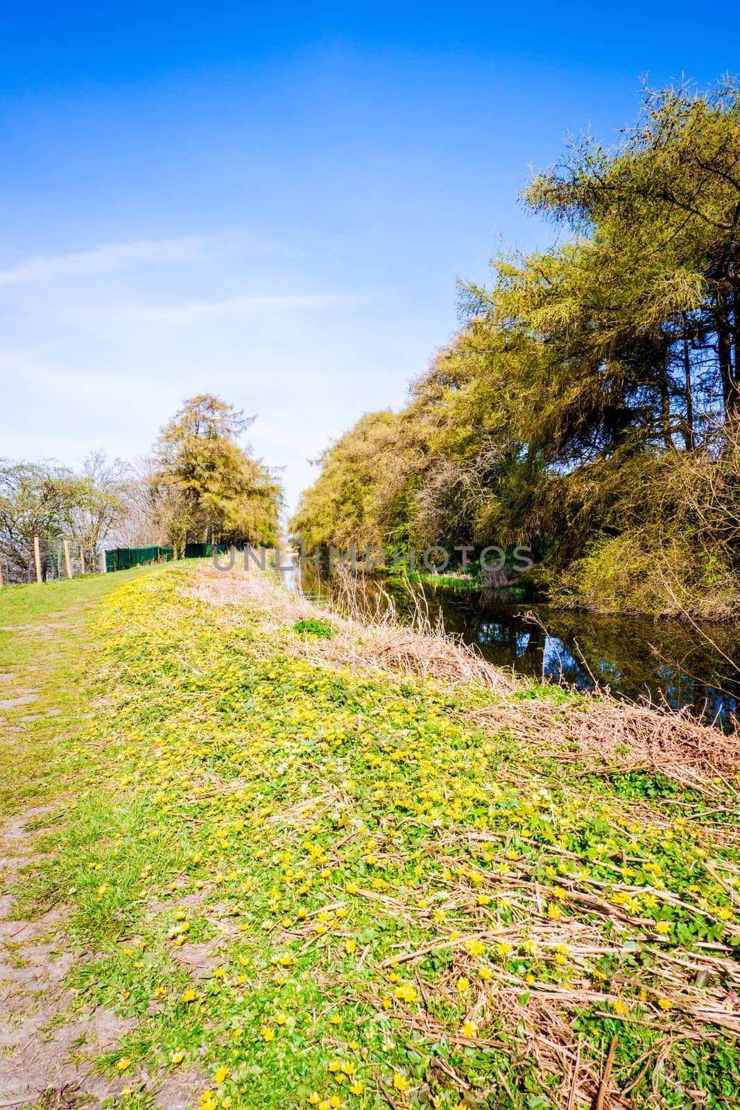 Springtime fields with hedges, trees beautiful blue sky by paddythegolfer