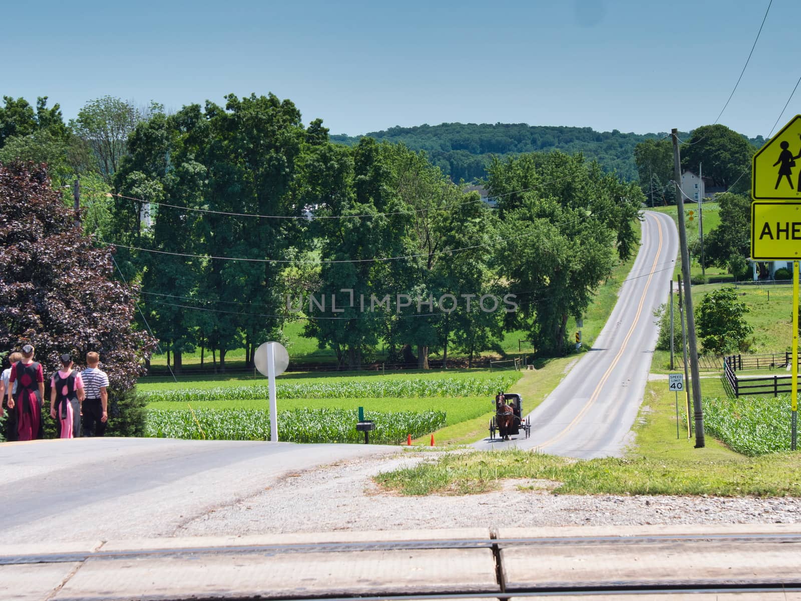 Amish Teenagers Walking Along Train Tracks with a Horse and Buggy Approaching in Countryside on a Sunny Day