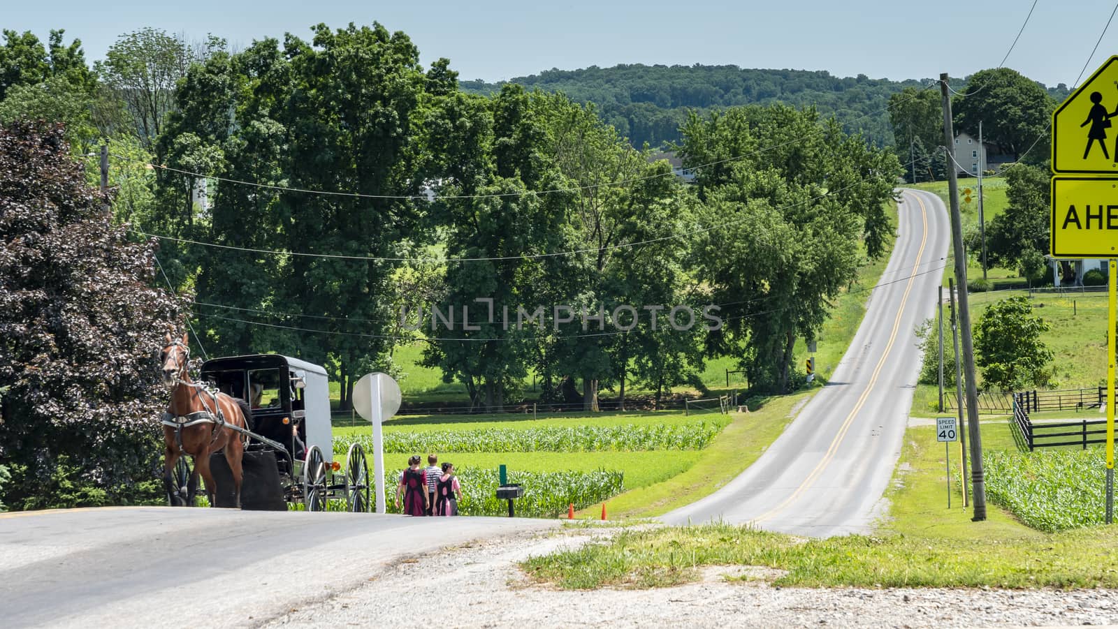 Amish Teenagers Walking Along Train Tracks with a Horse and Buggy Approaching in Countryside on a Sunny Day by actionphoto50