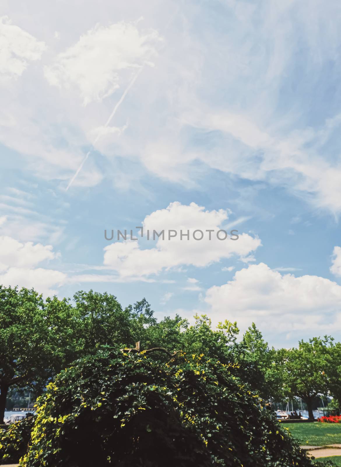 City park near lake Zurich in Switzerland, summertime