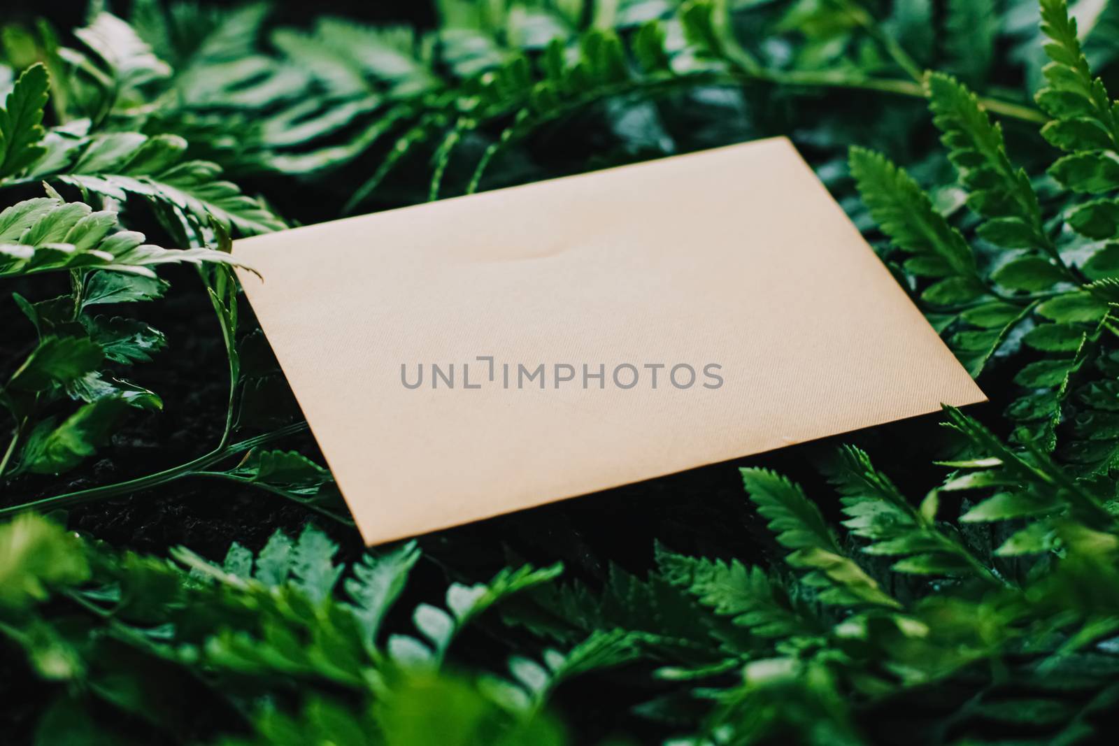 Blank envelope and green leaves in nature, paper card as background, correspondence and newsletter by Anneleven